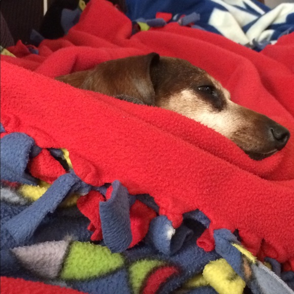 Bundle Up! - Picture 6 of 8